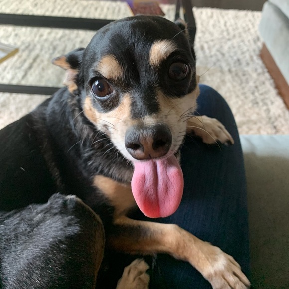 Meet your Posher, Melissa - Picture 1 of 1